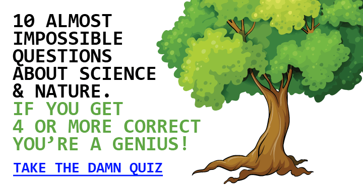 Nature questions. Question about nature. Almost Impossible. Nature Quiz.