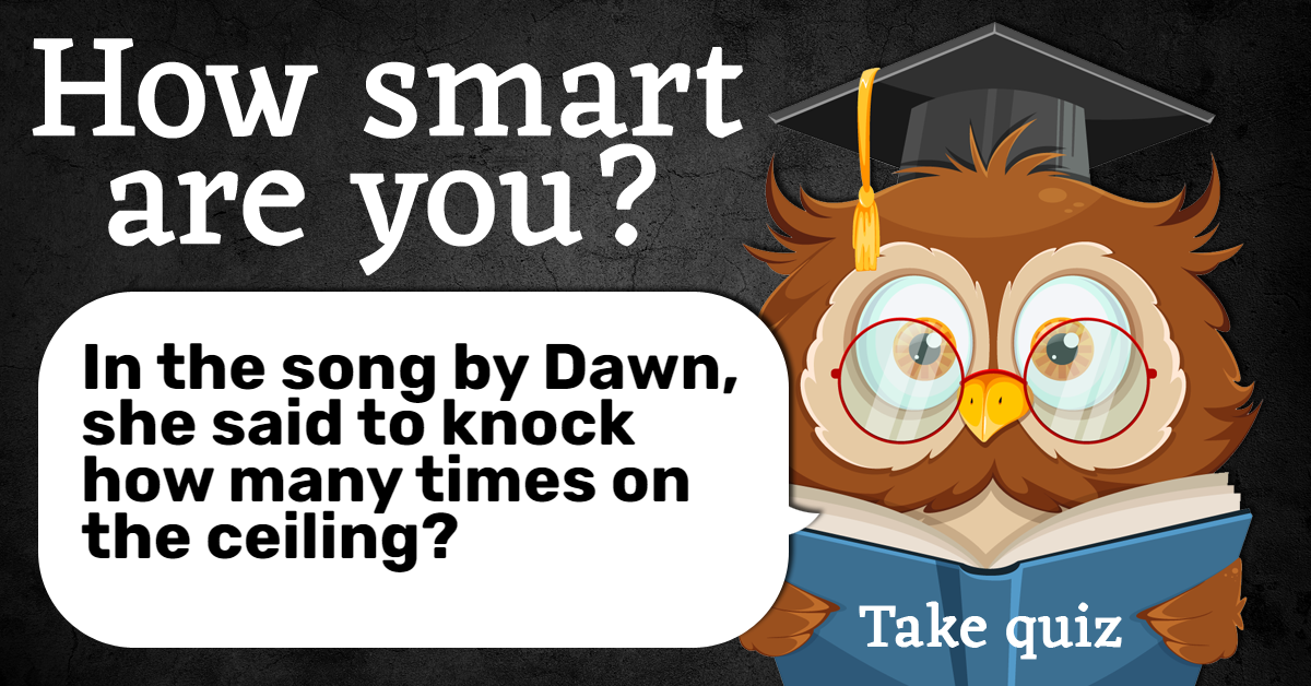 trivia-owl-how-smart-are-you